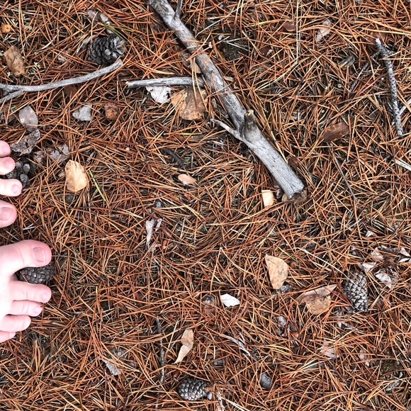 Meet your Posher, Cairine - Picture 2 of 5